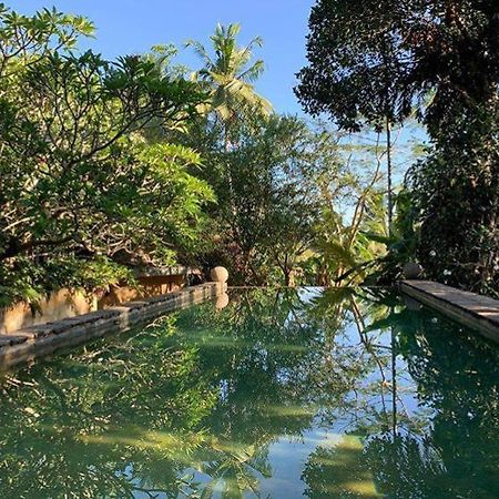 Sri Yoga Shala Bed and Breakfast Unawatuna Exteriör bild
