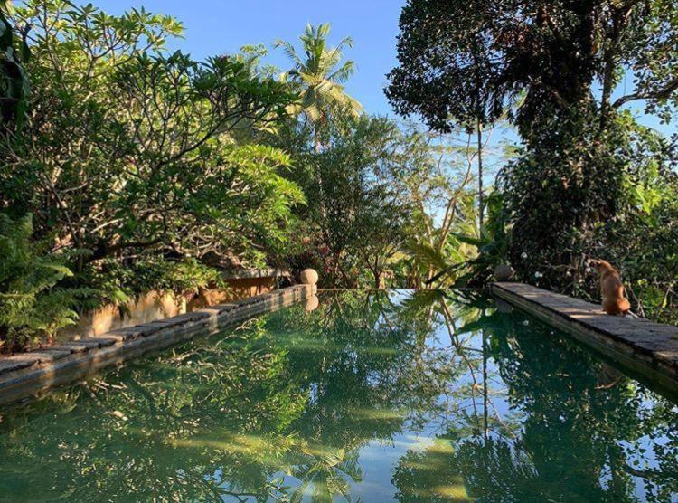 Sri Yoga Shala Bed and Breakfast Unawatuna Exteriör bild